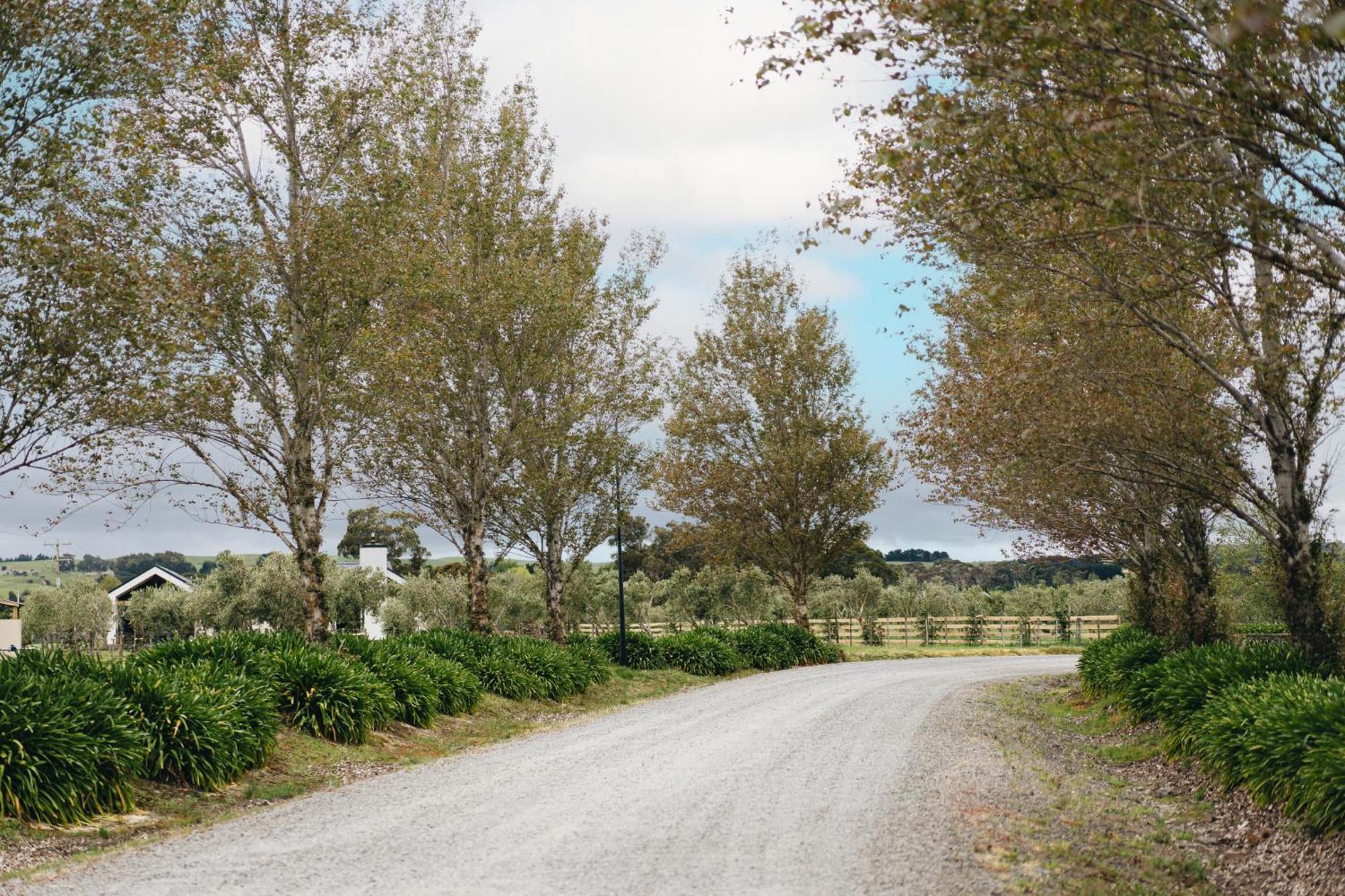 Brackenridge Country Retreat & Martinborough